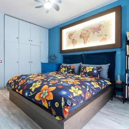 Zois Cozy N Vibrant